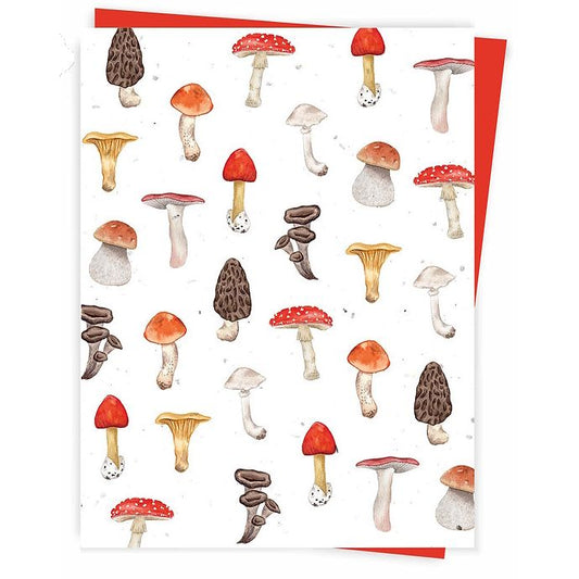 Hobeika Art Plant Me Card Mushrooms