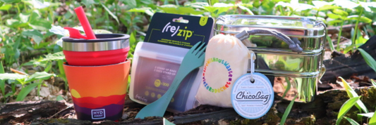 5 Simple Sustainable Swaps to Reduce Plastic Pollution