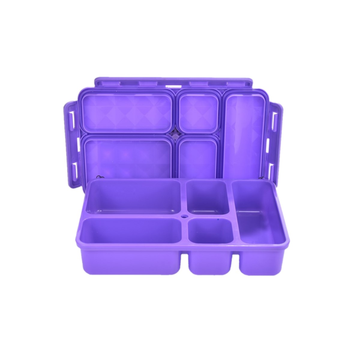 Go Green 5-Compartment Leak-Proof Snackbox (Small) Purple