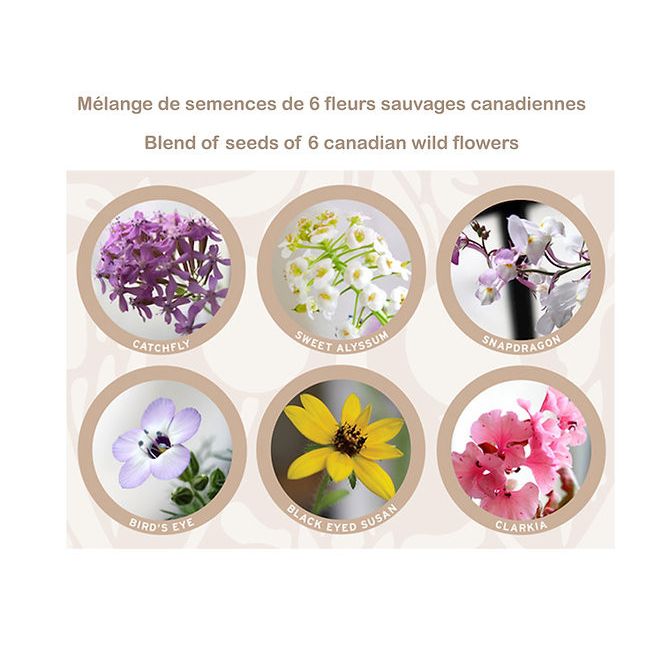 Hobeika Art Plant Me Card