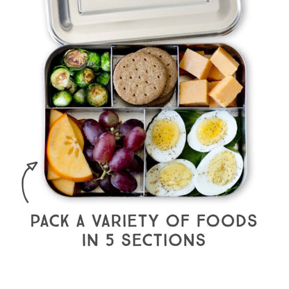 LunchBots Cinco Stainless Steel 5 Compartment Bento Box