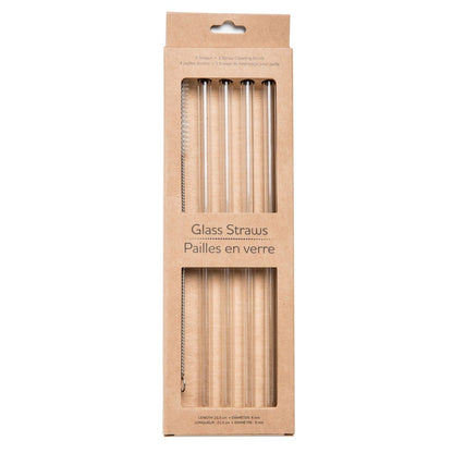 Life Without Waste Glass Drinking Straws (Pack of 4 + Brush)