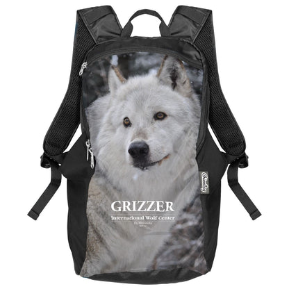 Custom Printed ChicoBag Travel Pack